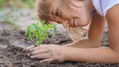This image shows a child planting a plant in the garden.